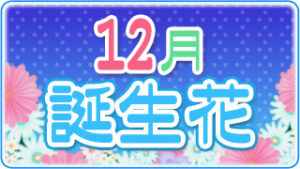 12月の誕生花の画像