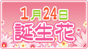 1月24日の誕生花の画像