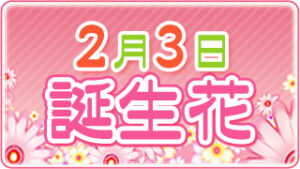 2月3日の誕生花の画像