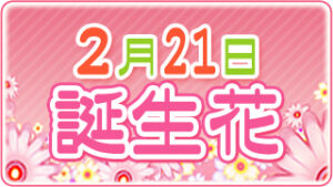 2月21日の誕生花の画像