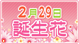 2月29日の誕生花の画像