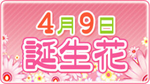 4月9日の誕生花の画像