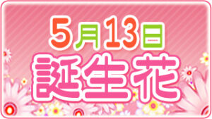5月13日の誕生花の画像