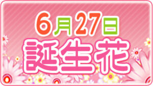 6月27日の誕生花の画像