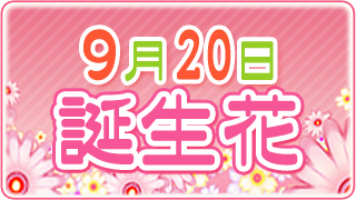 9月日の誕生花 誕プレ