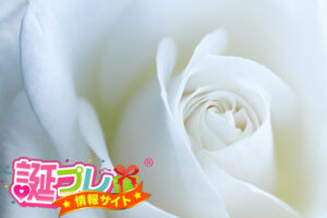 白い薔薇を父にプレゼント